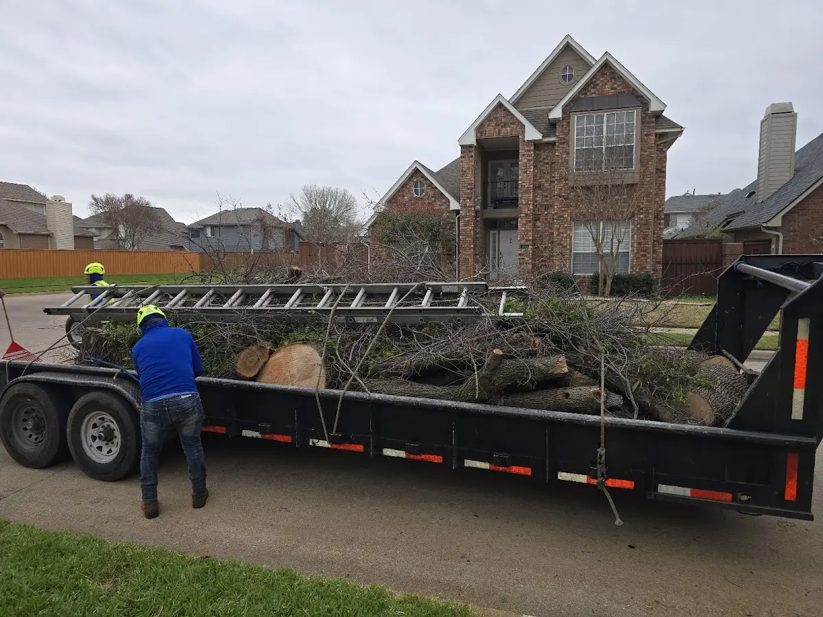 Expert Lot Clearing with proper safety equipment in Melrose